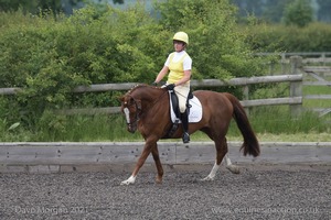 ISIS Dressage Challenge 2008